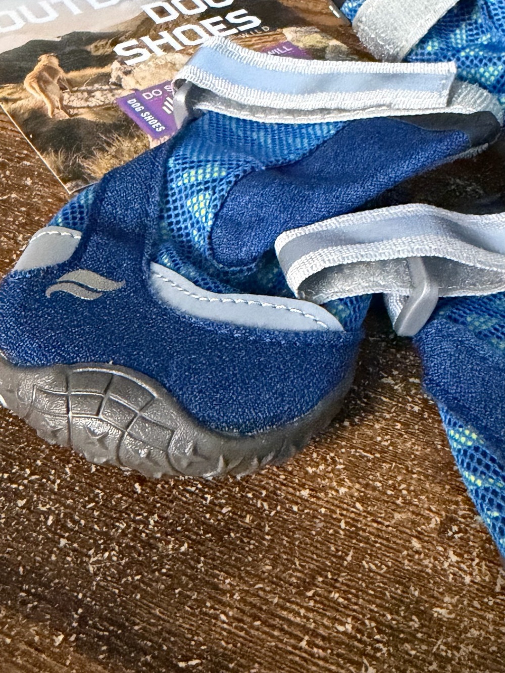 Blue Dog Water Shoes with Adjustable Straps
